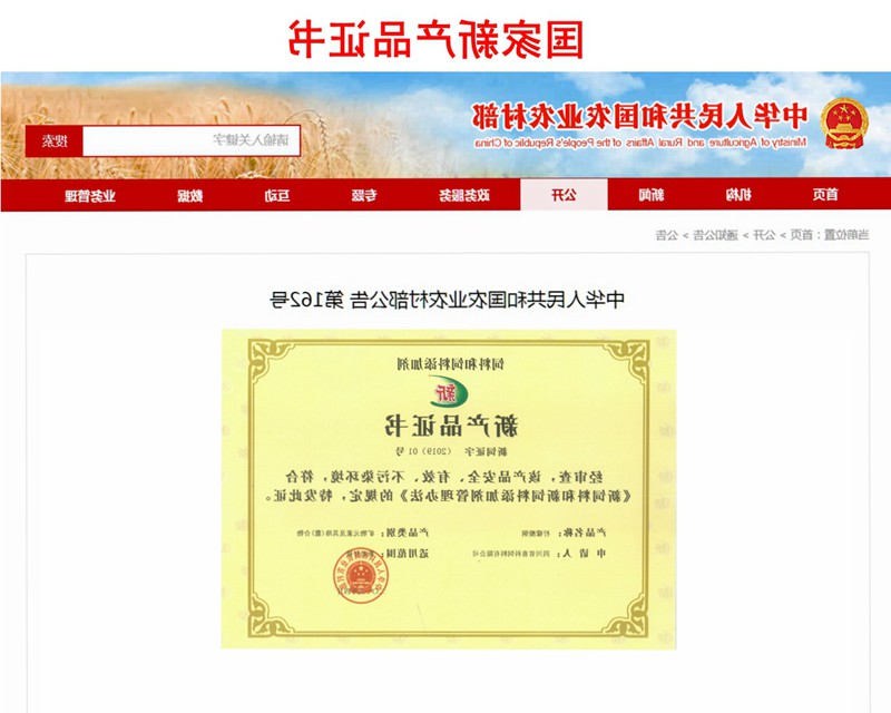 news09.jpg