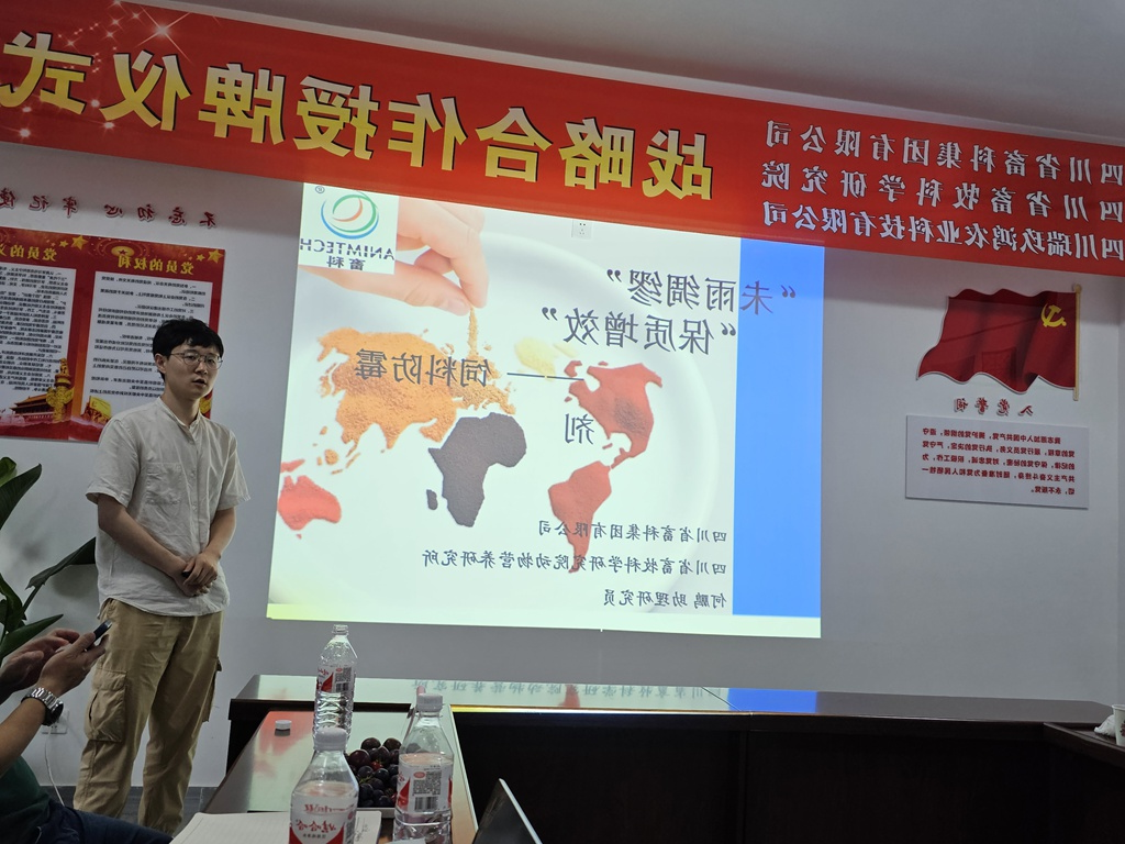 news009.jpg