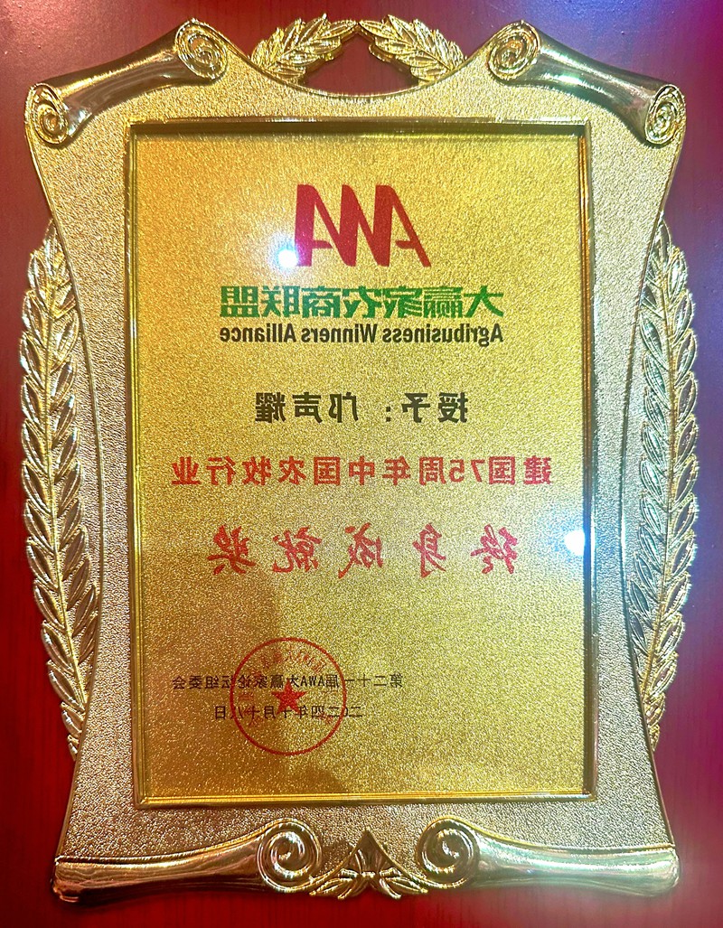 06.jpg